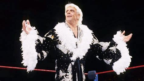 ric flair high flying.